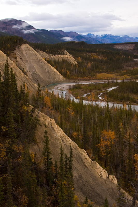 Trout River Valley